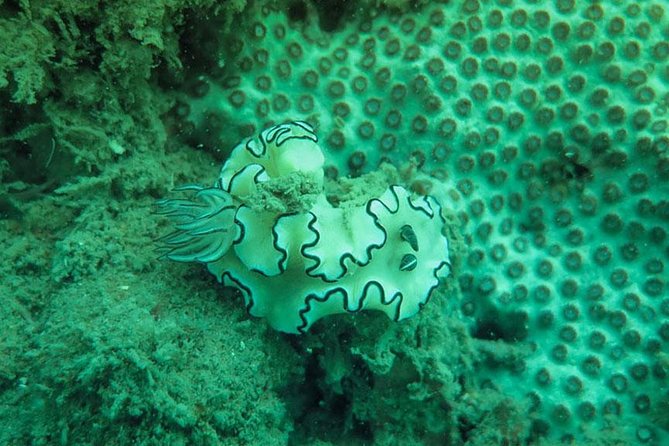 Snorkeling Tour to 4 Islands(Emerald Cave) From Koh Lanta by Speedboat - Booking and Cancellation Policy