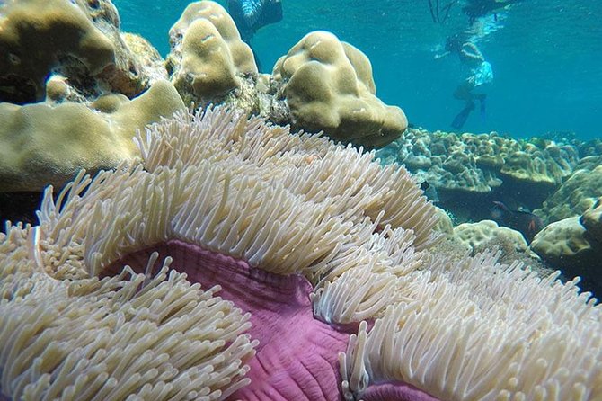 Snorkeling Tour to Rok and Haa Island by Speedboat From Koh Lanta - Safety Precautions