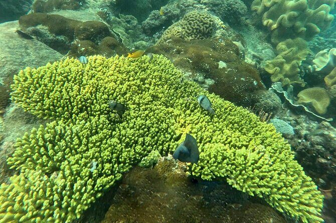 Snorkeling tour to South of Phu Quoc Island & BBQ ( Max 10 PAX ) - FAQ - Your Practical Questions Answered