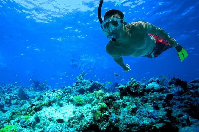 Snorkeling Tour to Vieques Island - Safety Precautions