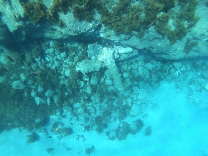 Snorkeling Tour- Vila Franca Do Campo Islet - Frequently Asked Questions