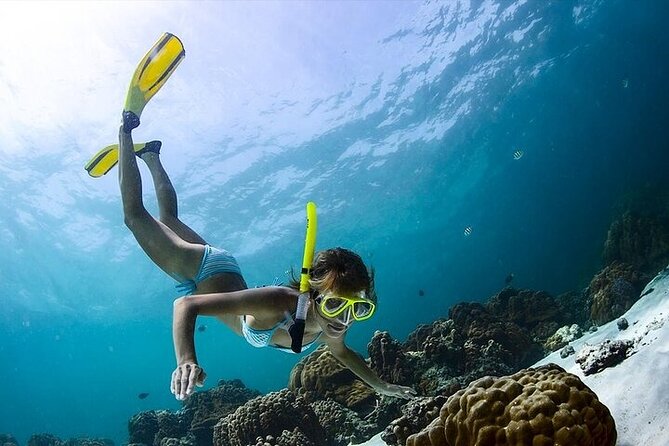 Snorkeling Tour With Fish and Turtles in San Juan - Tour Overview