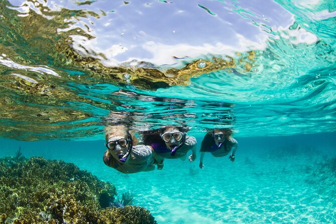 Snorkeling Tour With Fish and Turtles in San Juan - Meeting Point