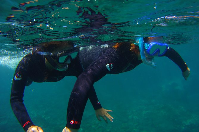 Snorkeling Tour With Sea Turtles and Stingrays - Reviews and Feedback