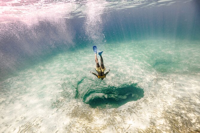 Snorkeling Tour With Turtles and Stingrays Puerto Morelos - Pickup and Meeting Details