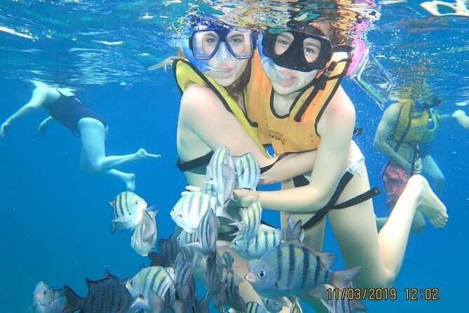 Snorkeling Trip at Cozumel Beach Club with Lunch Included - Who Will Love This Tour?