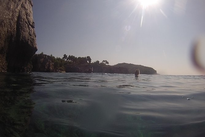 Snorkeling Trip - Group Size and Composition