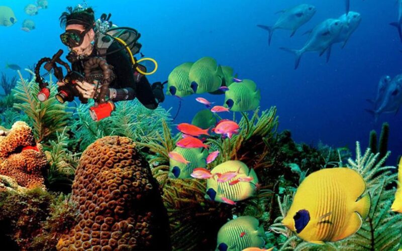 Snorkeling Trip From Polhena Beach, Matara, Sri Lanka - Key Points