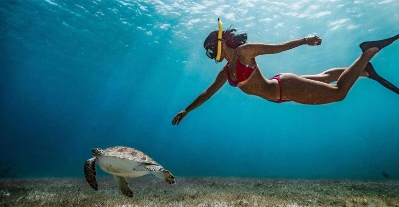 Snorkeling Trip From Polhena Beach, Matara, Sri Lanka - Experience and Itinerary