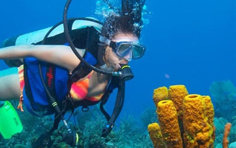 Snorkeling Trip From Polhena Beach, Matara, Sri Lanka - Highlights of the Tour