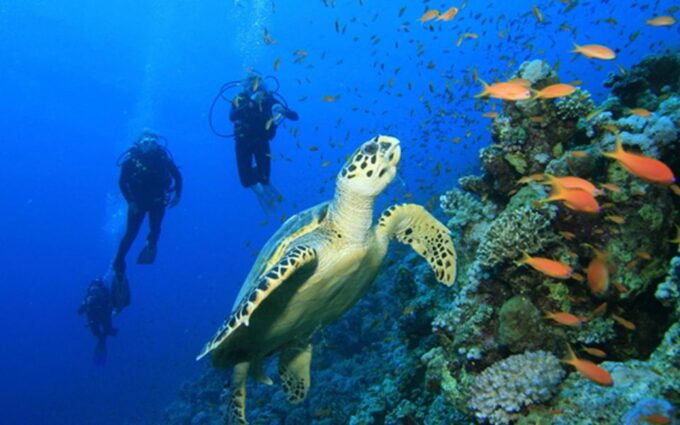 Snorkeling Trip From Polhena Beach, Matara, Sri Lanka - Booking Process and Availability