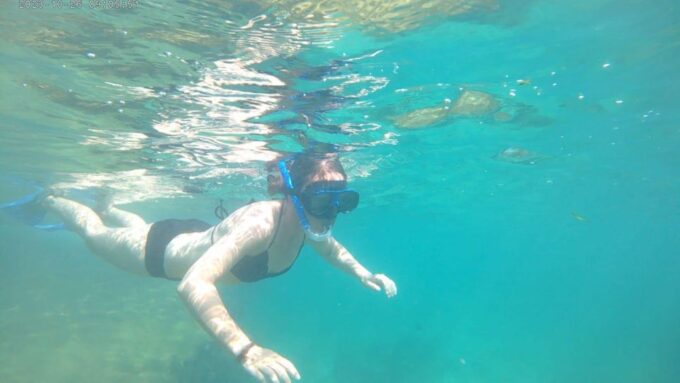 Snorkeling Trip From Polhena Beach, Matara, Sri Lanka - Meeting Point and Transportation