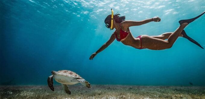 Snorkeling Trip From Polhena Beach, Matara, Sri Lanka - Frequently Asked Questions