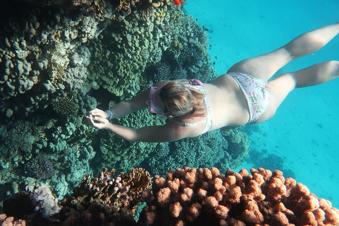 Snorkeling Trip in Red Sea - Trip Overview