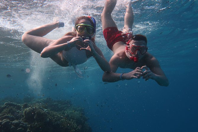 Snorkeling Trip in Red Sea - Included Amenities