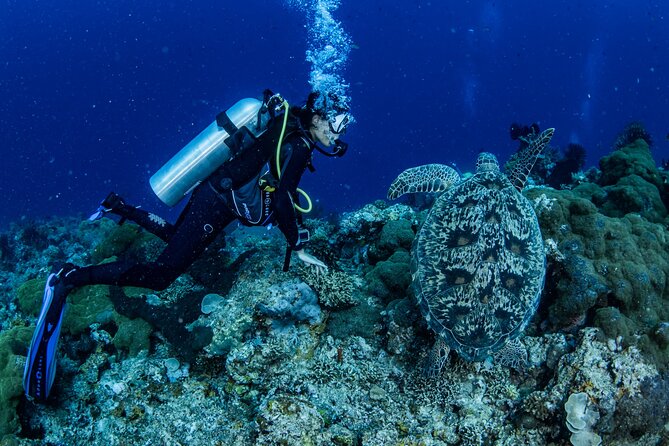 Snorkeling Trip to Menjangan Island - Safety and Accessibility