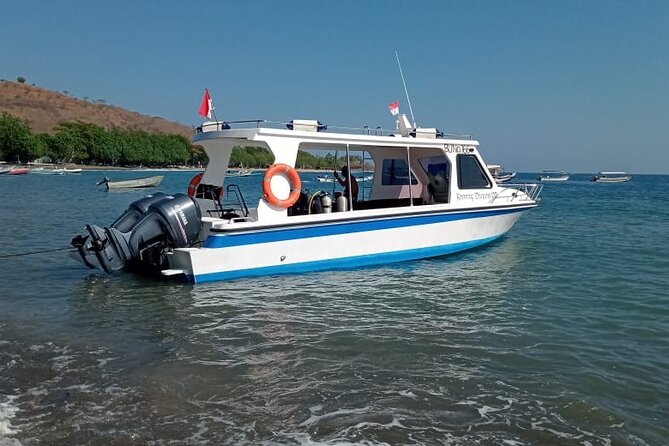 Snorkeling Trip to Menjangan Island - Customer Service and Booking