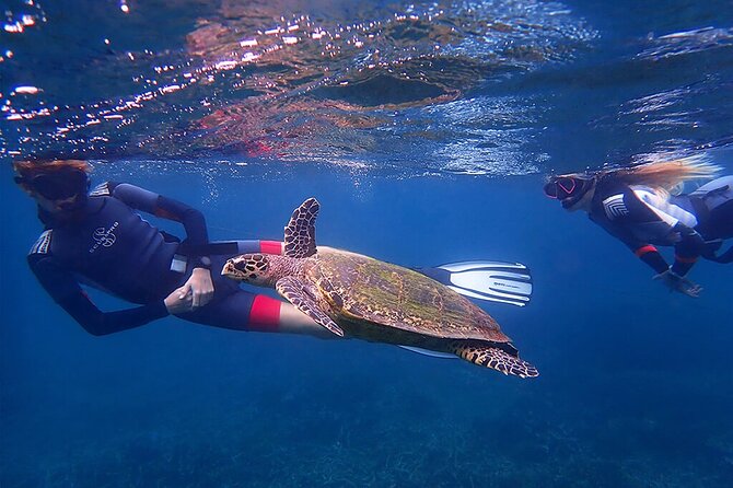 Snorkeling Trip to Pigeon Island - Schedule and Duration