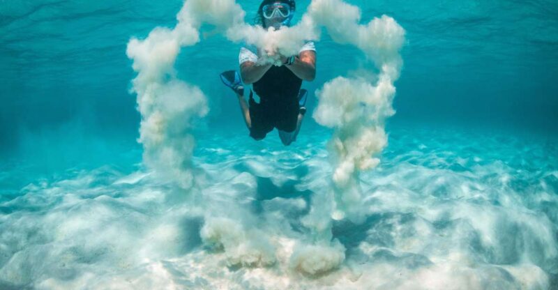 Snorkeling Trips in Amorgos - Underwater Marine Life Highlights