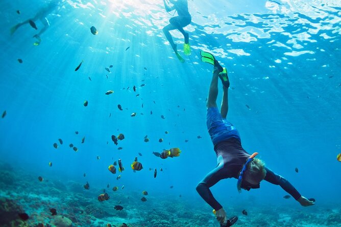 Snorkeling Trips to Daymaniat Islands Sharing Trip - Reviews