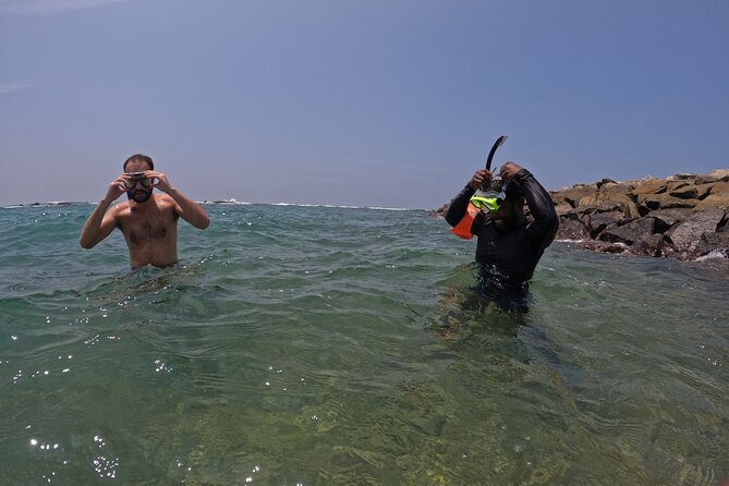 Snorkeling Turtles in Mirissa - Snorkeling Experience