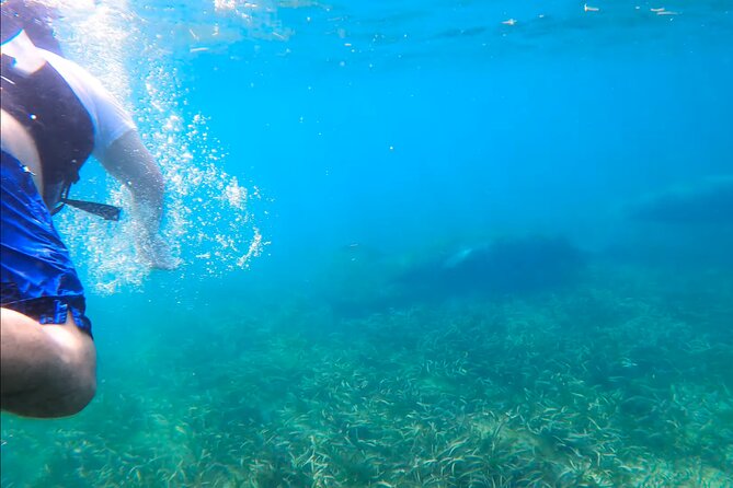 Snorkeling W/ Manatees & Turtles in San Juan! (Free Rum) - Snorkeling Equipment and Gear Provided
