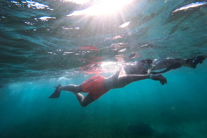Snorkeling W/ Manatees & Turtles in San Juan! (Free Rum) - Customer Reviews and Feedback