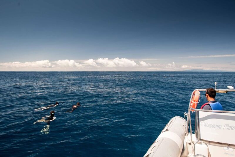 Snorkeling Wildlife in Terceira Island - Pricing and Booking