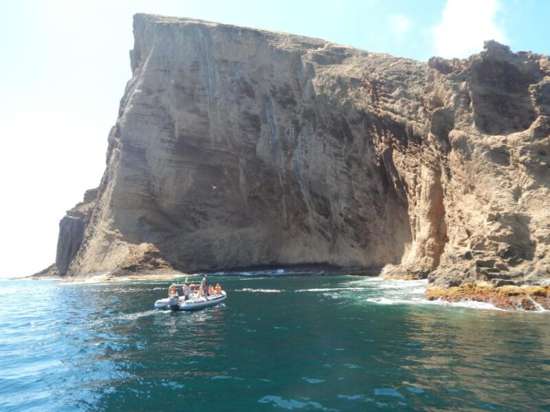 Snorkeling Wildlife in Terceira Island - Inclusions and Requirements