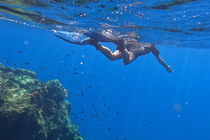 Snorkeling With a Professional Instructor in Tenerife - Meeting and Pickup Information