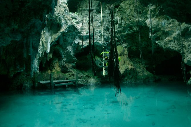 Snorkeling With Caribbean Fish and Private Cenote Exploration - Cenote Exploration