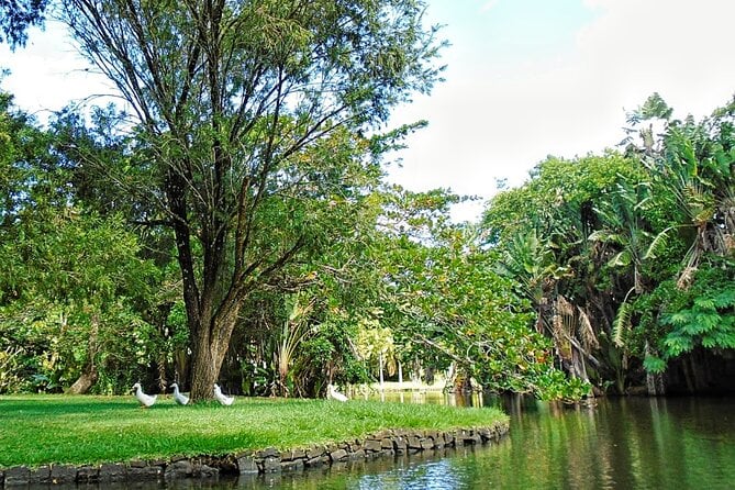 Snorkeling With Giant Turtles, the Red Church, Pamplemousses Garden & Port Louis - Additional Information and Policies