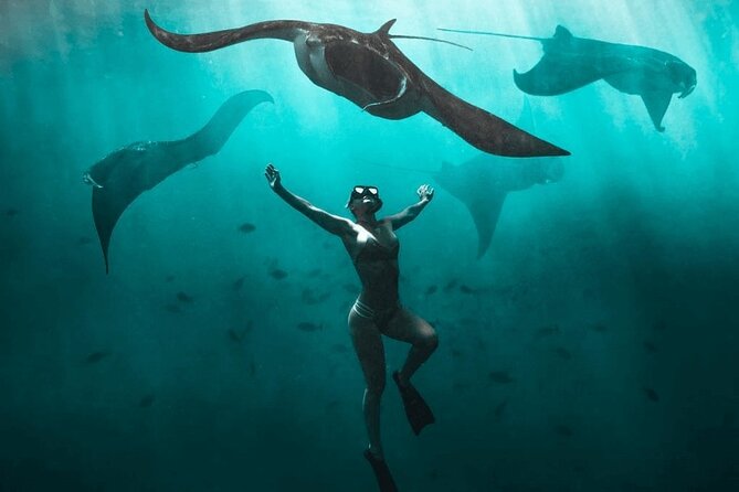 Snorkeling With Manta Rays in Nusa Penida Experience (All-Inclusive) - Inclusions of the Experience