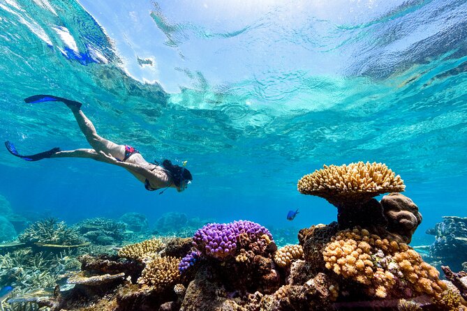 Snorkeling With Manta Rays in Nusa Penida Experience (All-Inclusive) - Highlights of the Snorkeling Adventure