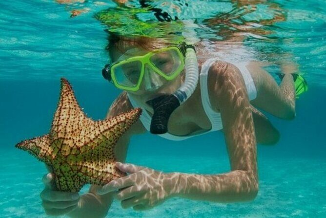 Snorkeling with Margaritaville and shops on Hipstrip activity - Key Points