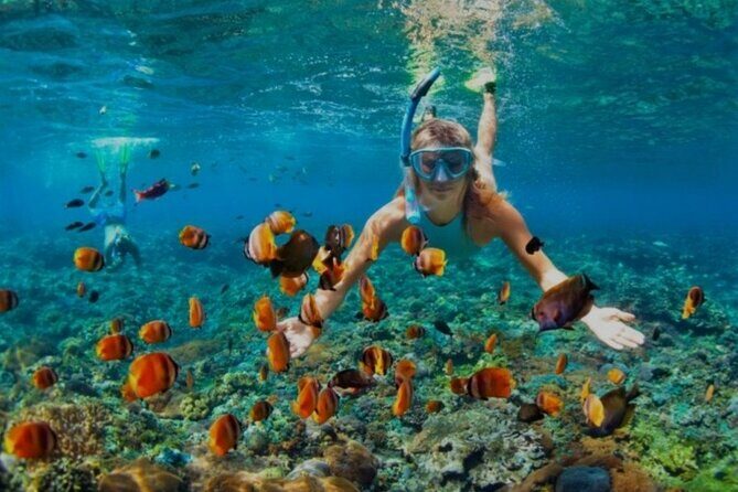 Snorkeling with Margaritaville and shops on Hipstrip activity - Who Would Love This Tour?