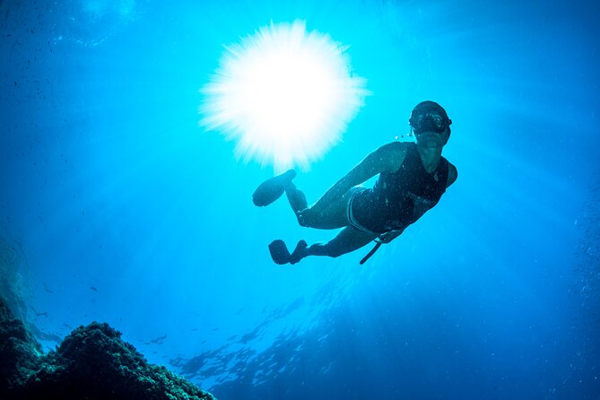 Snorkeling With Marine Biologist Expert From Sorrento - Included Snorkeling Equipment and Amenities