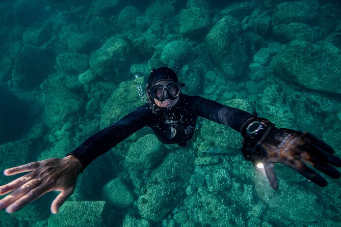 Snorkeling With Marine Biologist Expert From Sorrento - Meeting Point and Transportation