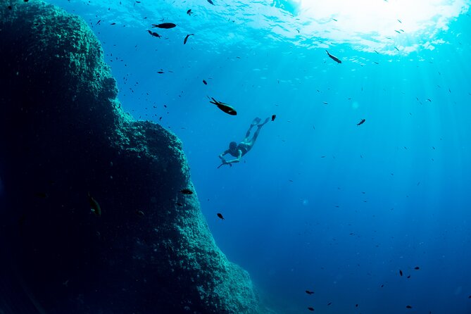 Snorkeling With Marine Biologist Expert From Sorrento - Pricing and Cancellation Policy