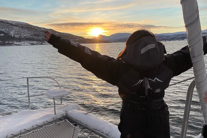 Snorkeling With Orcas in Norway, 4 Days All-Inclusive Expedition - Getting to the Meeting Point