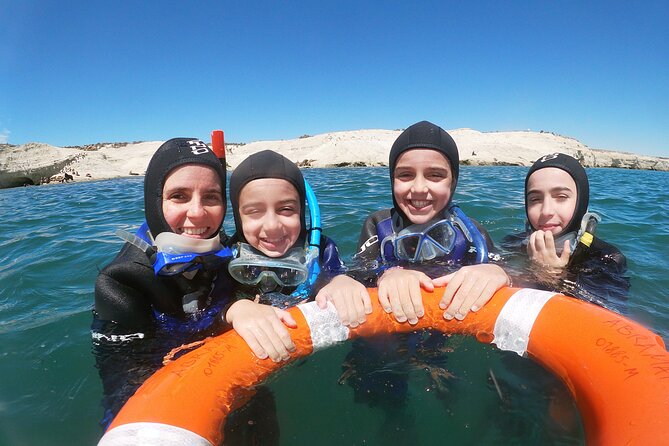 Snorkeling With Sea Lions and Wildlife Adventure - Exploring Punta Lomas Underwater Wonders