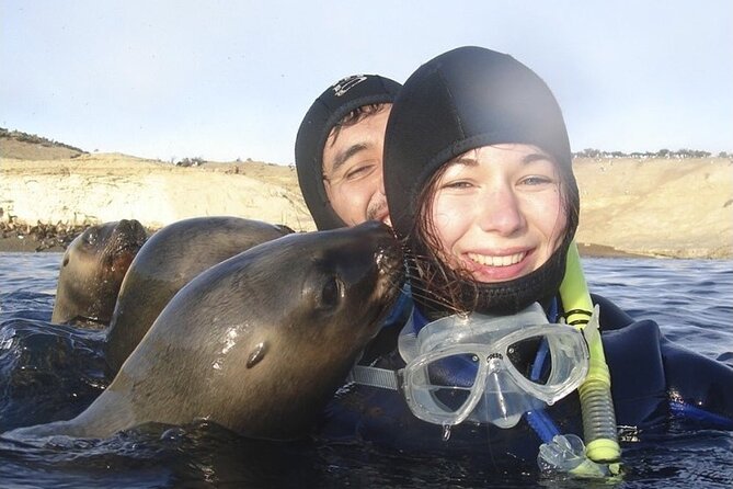 Snorkeling With Sea Lions and Wildlife Adventure - Key Points