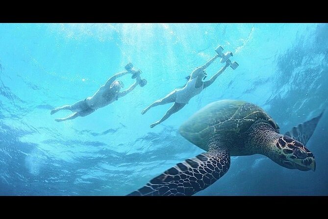 Snorkeling With Sea Scooters and Sea Adventure - Reviews and Ratings