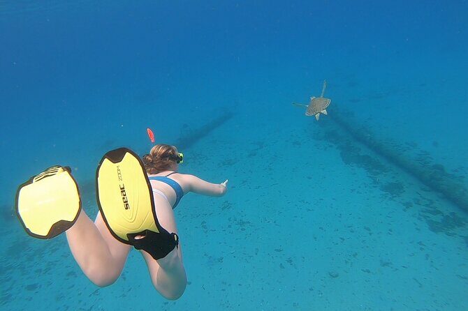 Snorkeling with Sea Turtles - The Beach and Facilities