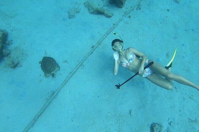 Snorkeling with Sea Turtles - Who Will Love This Experience?
