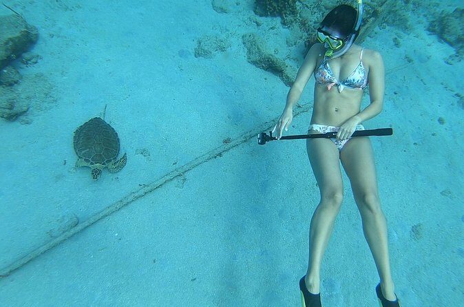 Snorkeling with Sea Turtles - Final Thoughts