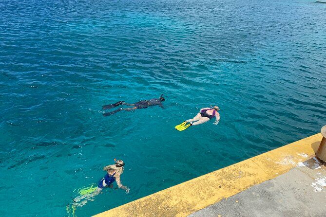 Snorkeling with Sea Turtles - FAQ: Your Questions Answered