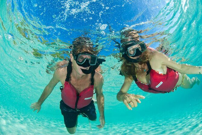 Snorkeling with Sea Turtles at St. Thomas - Logistics and Logistics