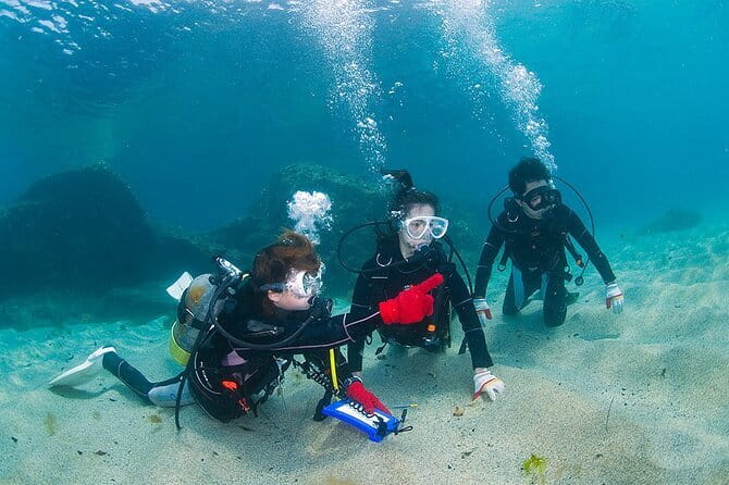 Snorkeling With Sea Turtles - Encountering the Sea Turtles