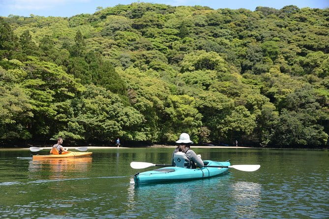 Snorkeling With Sea Turtles - The Allure of Private Tours
